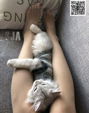 朱尔旦电影在线观看免费高清版_4K免费在线播放