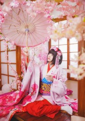 藏海花电视剧全集免费完整版_BD免费观看超清