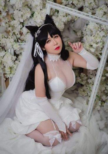 我的26岁女房客完整版_高清高清视频观看